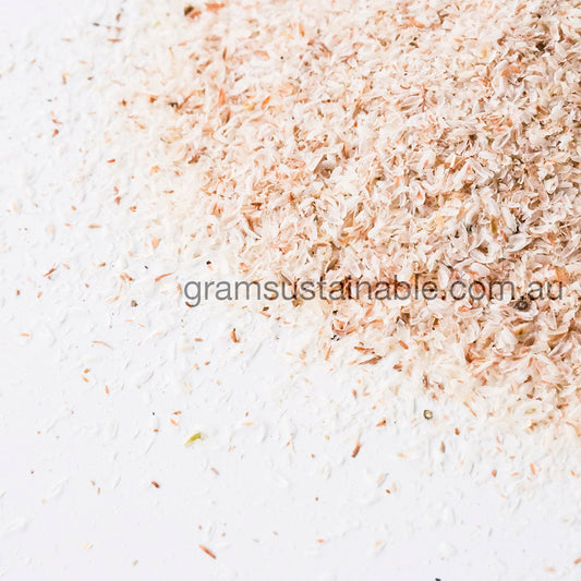 Psyllium Husks - Organic