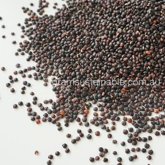 Black Quinoa - Organic