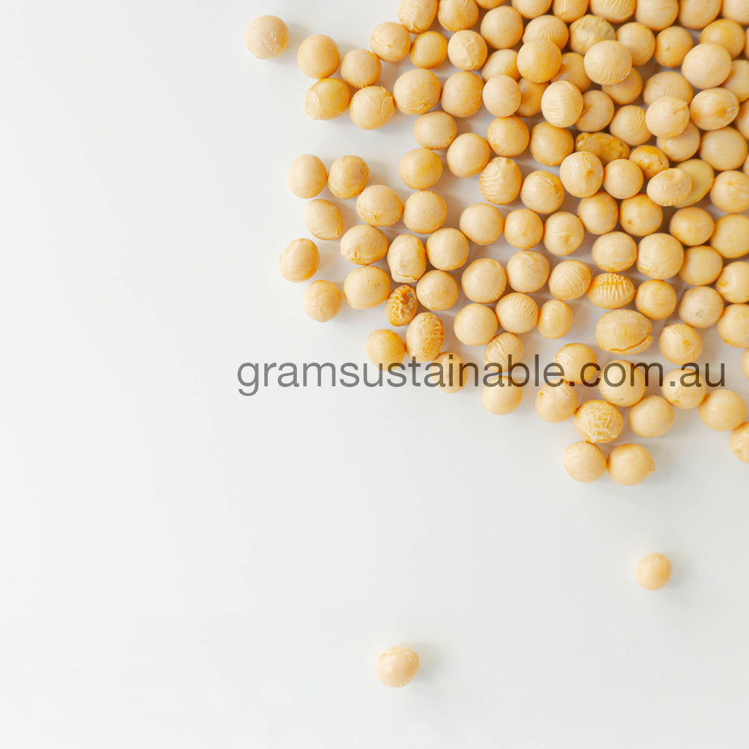 Soya Beans / Soy Bean - Organic & Australian