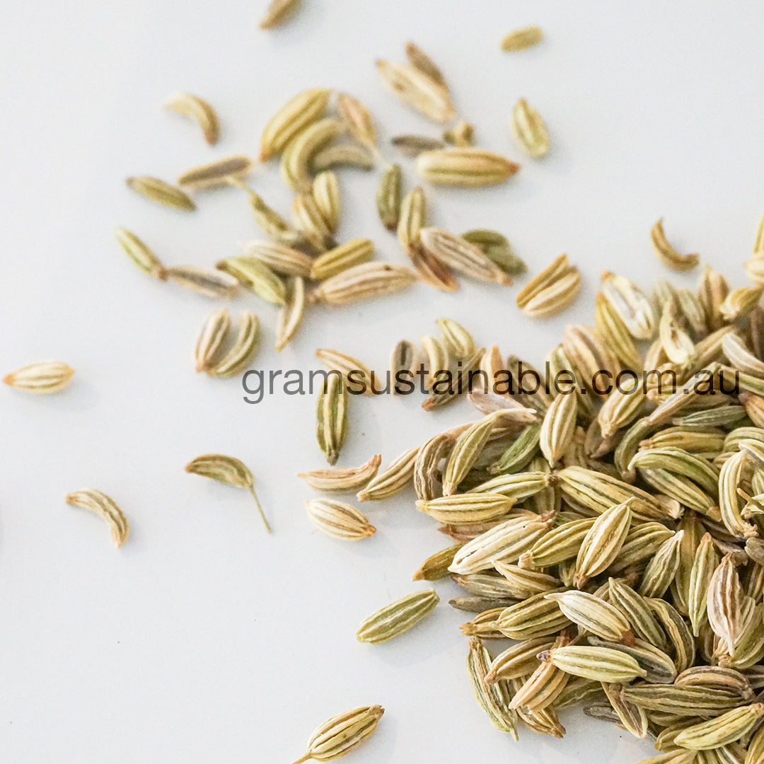 Fennel Seed