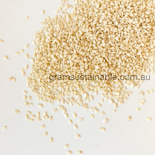 White Sesame Seeds