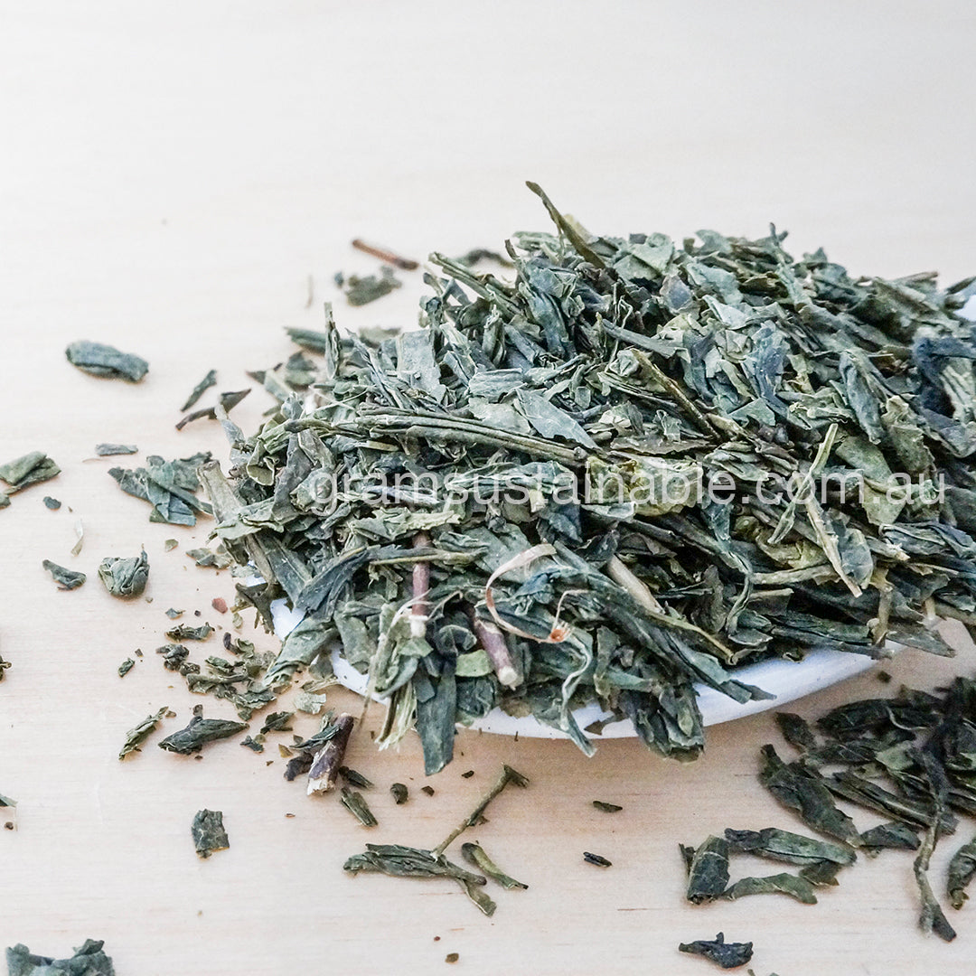 Green Tea Sencha - Organic