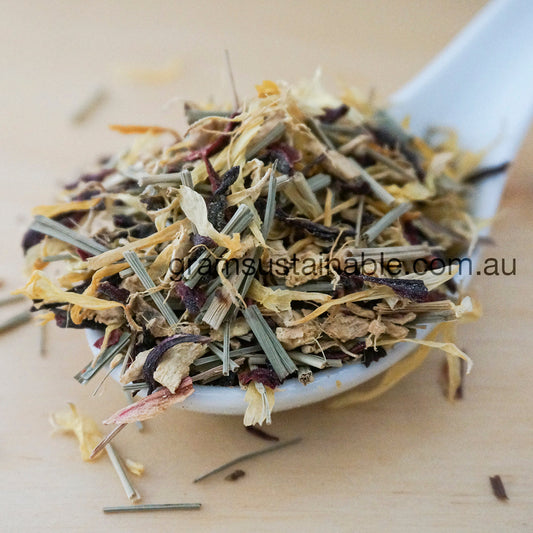 Ginger Lift Tea - Organic