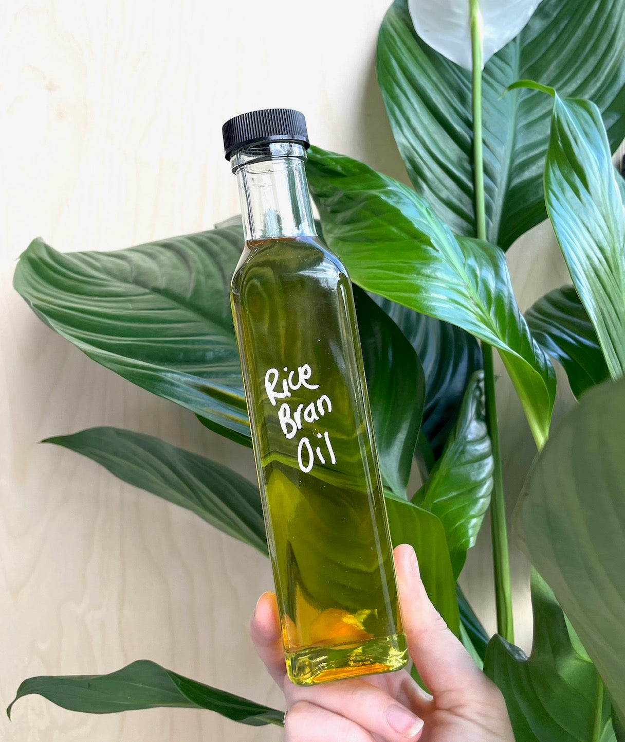 Rice Bran Oil